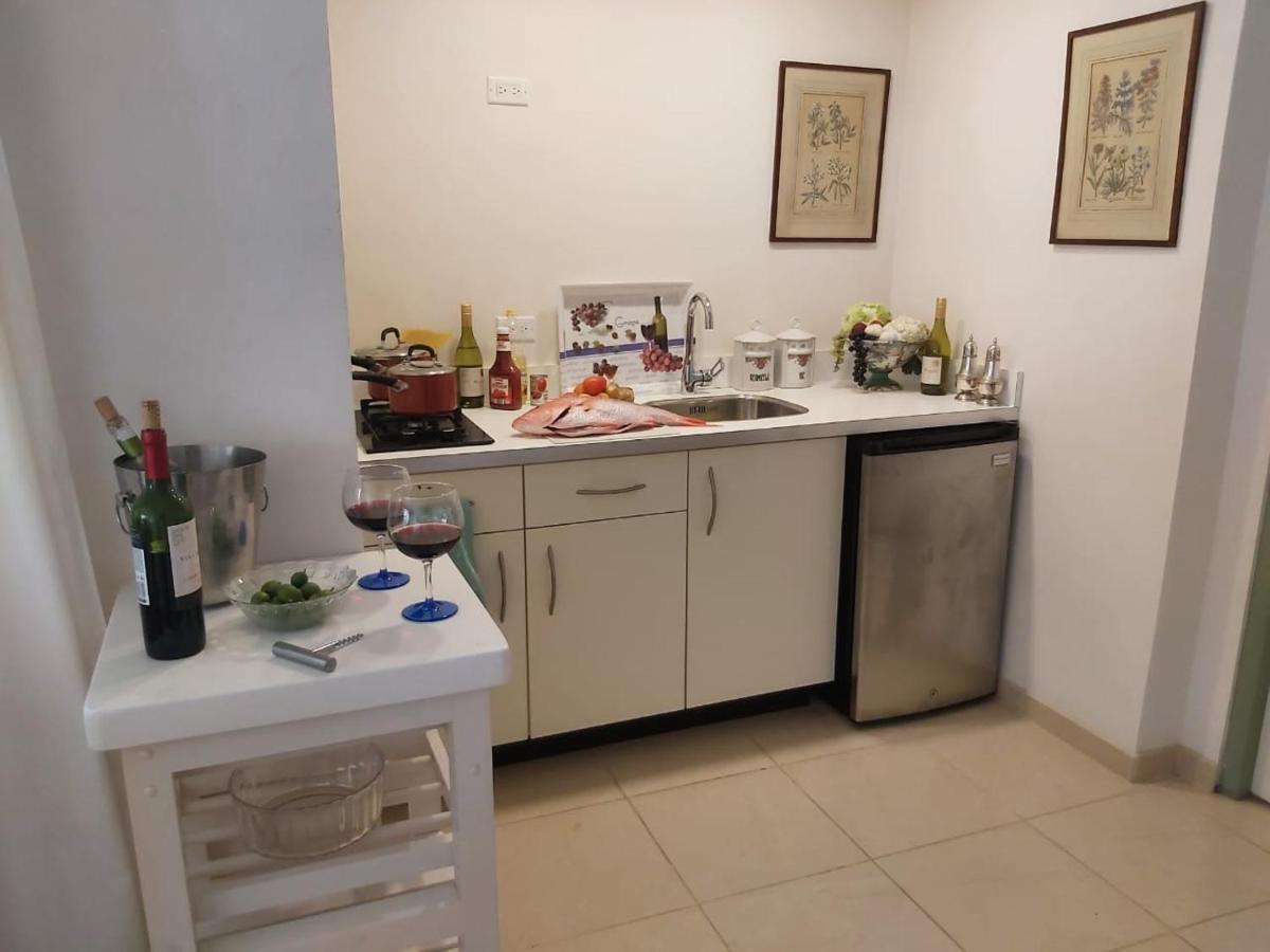 Appartement Studio Zara à Savaneta Extérieur photo