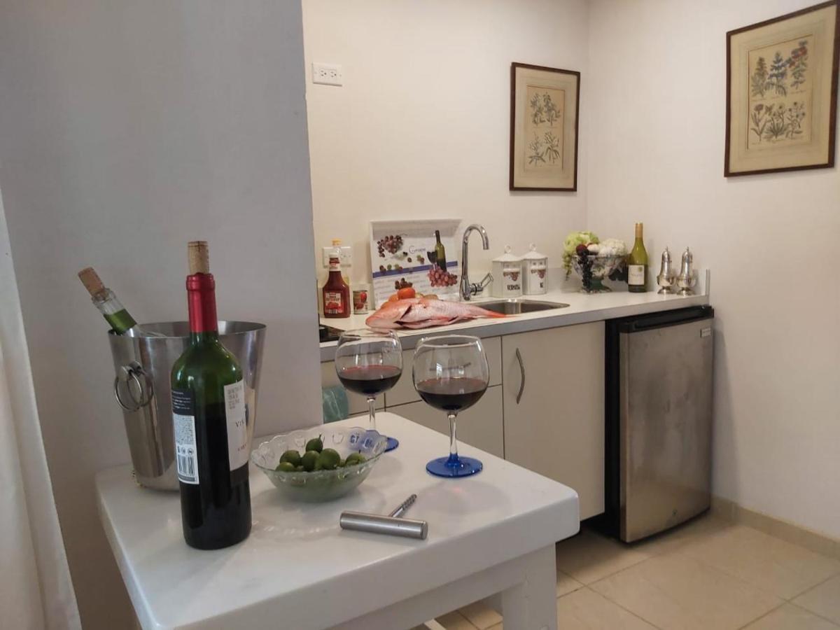 Appartement Studio Zara à Savaneta Extérieur photo